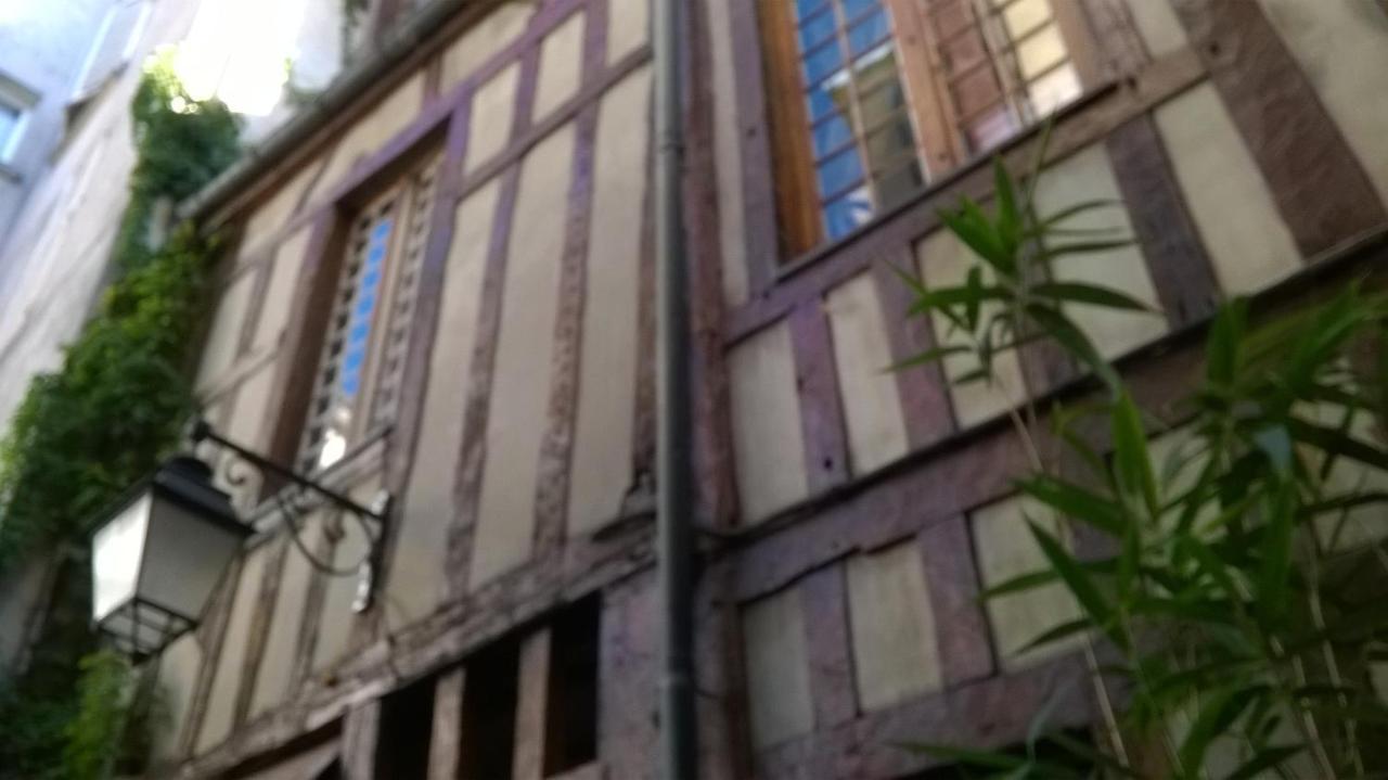 Appartement Charmant A Troyes Avec Jardin Cloture 50 M² 外观 照片
